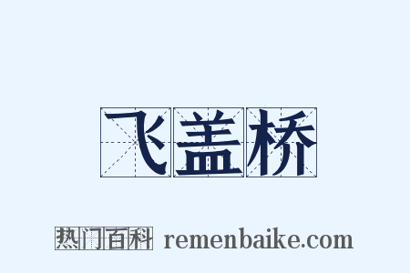 飞盖桥是什么意思的图片